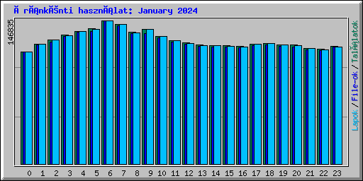 Óránkénti használat: January 2024