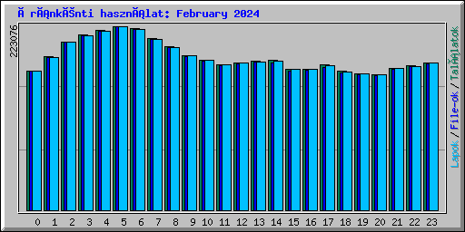 Óránkénti használat: February 2024