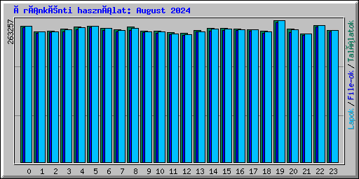 Óránkénti használat: August 2024