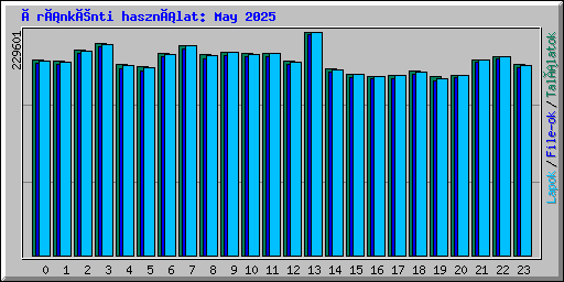 Óránkénti használat: May 2025